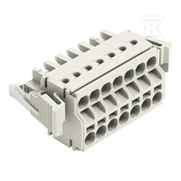 GNIAZDO 2-PRZE.PUSH-IN CA.CLAMP®, 2,5 M