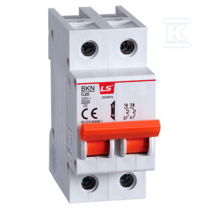 WYŁ.NMP.6KA 20A BKN 2P C20A