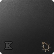 KLAWISZ POJ.ŚWIATŁO GRAF.