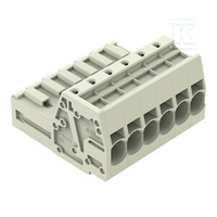 WTYK 1-PRZE.PUSH-IN CA.CLAMP®, 10 MM2,