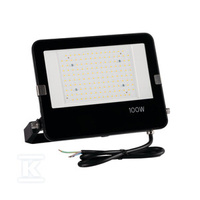 NAŚW.LED FL AGOR PRO 100W NW