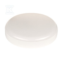 OPR.ŚCN SURF SLIM RD 260 P 26W 840 EUE?