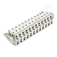 GNIAZDO 2-PRZE.PUSH-IN CA.CLAMP®, 2,5 M