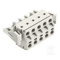 GNIAZDO 2-PRZE.PUSH-IN CA.CLAMP®, 2,5 M