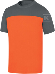 T SHIRT GENOA2 POMAR/SZARY XXL
