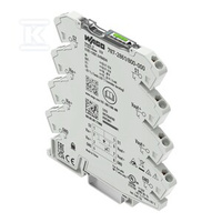 ELEKTRO.WY.NAD.1-KA.NA.WEJ.24 V DC, 8 A,