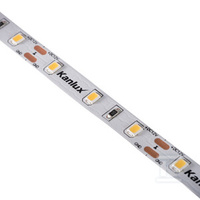TAŚ.LED L60 11W/M 12 IP00-NW