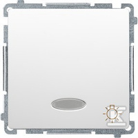 PRZ.ŚWIATŁO PODŚW. BMS1L.01/11+RAM.BI