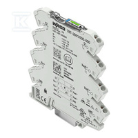 ELEKTRO.WY.NAD.1-KA.NA.WEJ.24 V DC, 6 A,