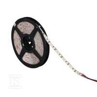 TAŚ.LED LEDS-B 9,6W/M IP65-CW