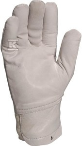 RĘKAW.SKÓ.LIC.BYDL.ŚCIĄG.NADG.SZA.8