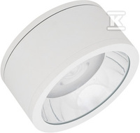 OPR.DOWN.L SURF DN 250 P 45W 830 60D WT