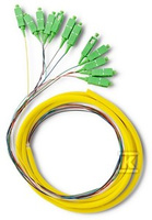 12 X PIGTAIL SC/APC SINGLEMODE G657A2 2M