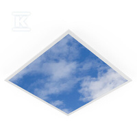 OPR.LED PAN PRINT SKY1 625V 33W