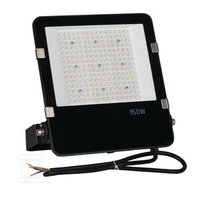 NAŚW.LED FL AGOR/A PRO 150W NW