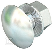 FRSB 6X12 A2 ŚRUBA Z ŁBEM GRZYBKOWYM