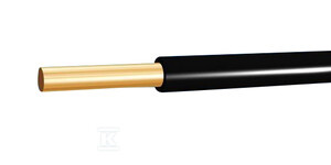 DY 1,0 750V CZARNY H07V-U 100M