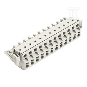 GNIAZDO 2-PRZE.PUSH-IN CA.CLAMP®, 2,5 M