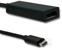ADAPTER USB C MĘSKI/DP ŻEŃSKI 4K 23CM