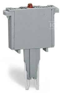 WTYK FUNK.DO.BA.2-BIEG., Z LE.I DIO.TŁU