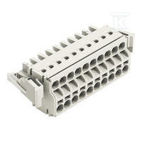 GNIAZDO 2-PRZE.PUSH-IN CA.CLAMP®, 2,5 M