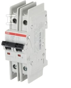 WYŁĄCZ.NADMIAROWO-PRĄ.2P, CHA.K, 13A,