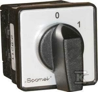 ŁK-SK 10A -1.823PULP.SZARE POKRĘ.CZARN