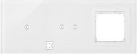 DSTR3120/70 PANEL SIMON 54 TOUCH